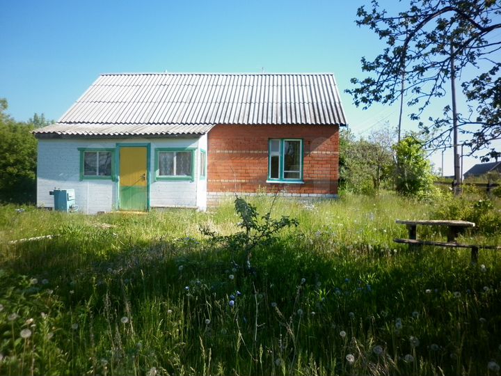 Дом 53 м² на участке 24 сот.