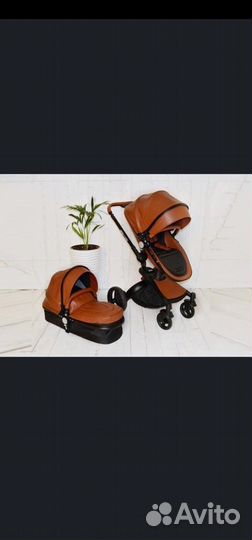 Коляска aulon 2 B 1