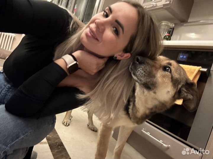 Саффи одиноко В клетке