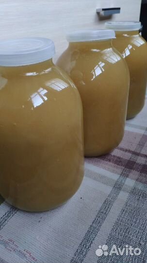 Мед Золотая розга