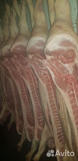 Мясо свинина полутуши