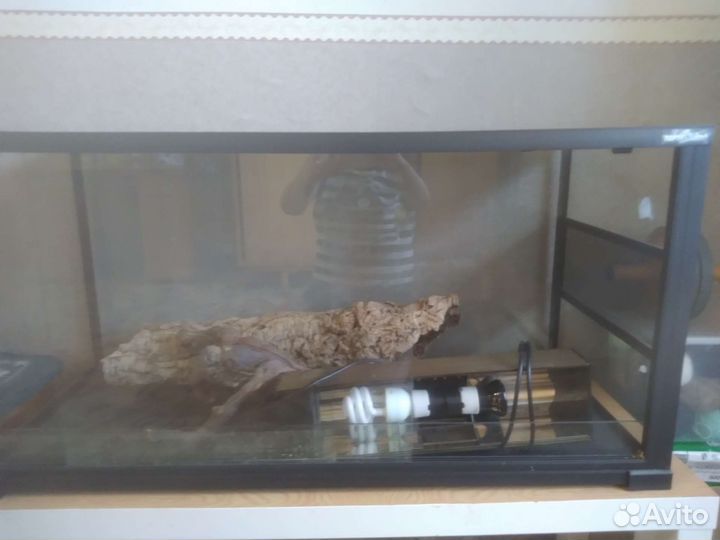 Террариум для рептилий бу