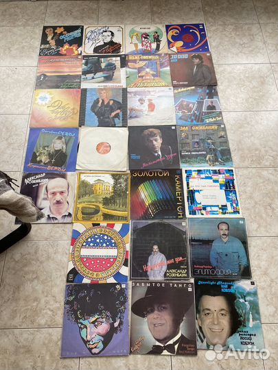 Виниловые пластинки