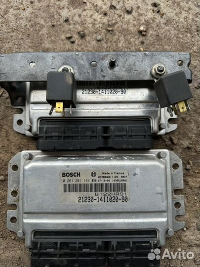 Эбу мозги на ниву