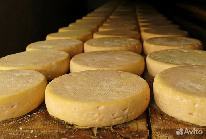 Упаковщик/Упаковщица (сыр). Оплата ежедневно