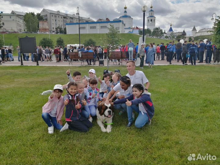 Кинолог зоопсихолог инструктор по дрессировке