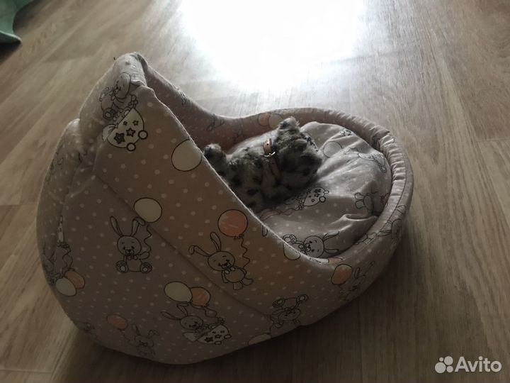 Лежанка для кошек