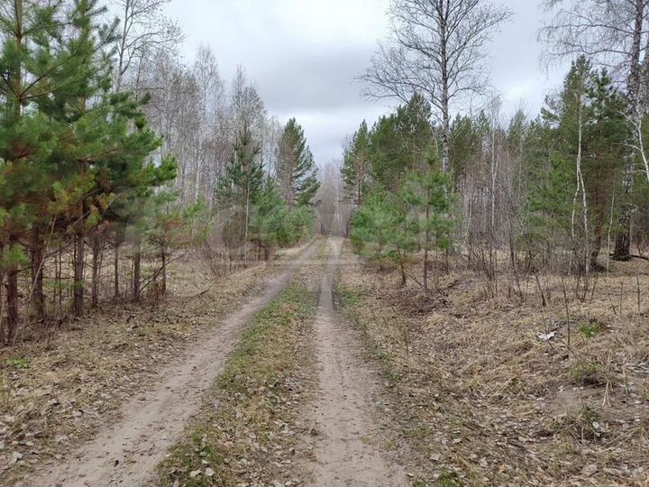 Участок 9,7 га (СНТ, ДНП)