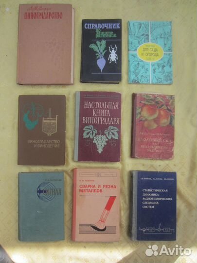 С. Андреенко. Таганрог. Познавательное путешествие