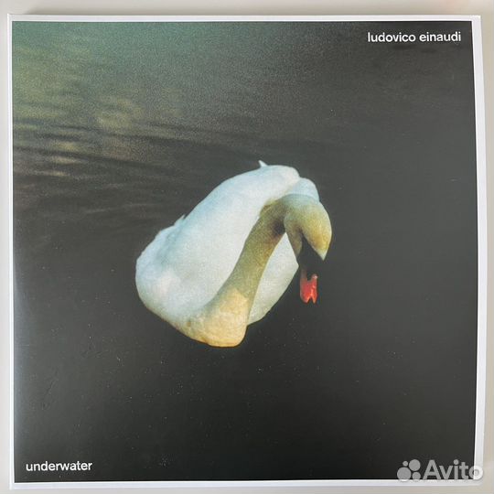 Виниловая грампластинка Ludovico Einaudi