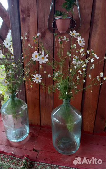 Бутыли СССР