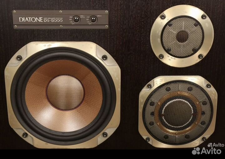 Колонки diatone DS 5000