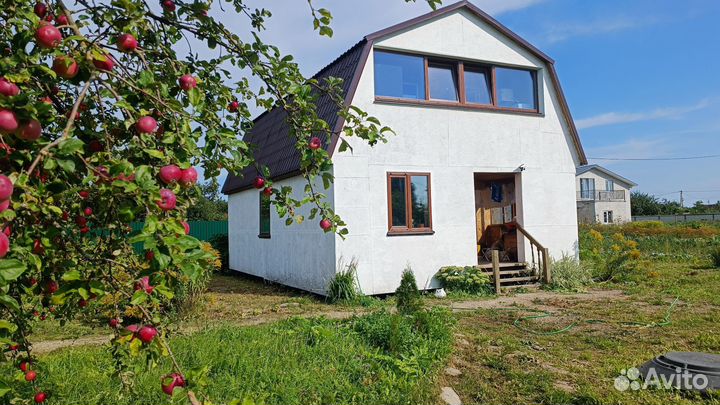 Коты, Рыжий и Мелкий