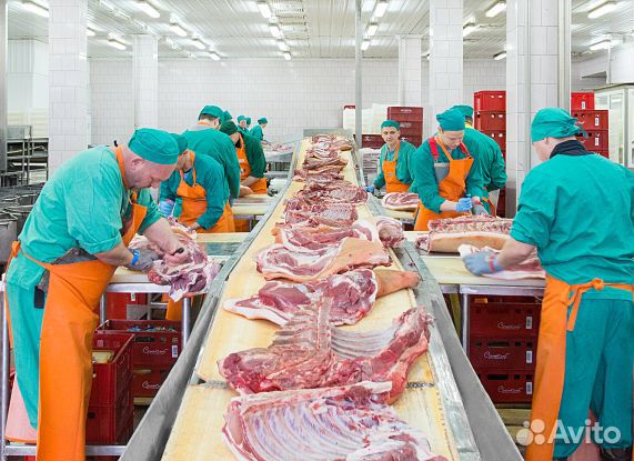 Вахта в Курске/Разнорабочий на мясокомбинат/проезд