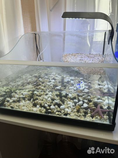 Аквариум для черепах
