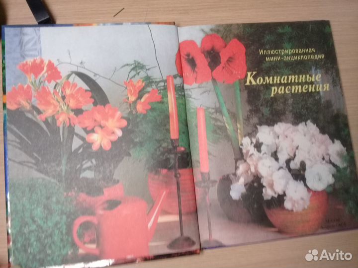 Комнатные растения.Мини -энциклопедия