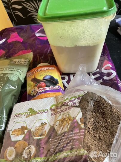 Для улиток Ахатин