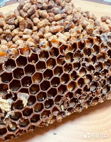 Перга Алтайская