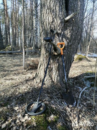 Металлоискатель minelab x terra 705 бу