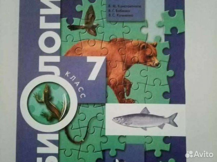 Учебники 7 класс