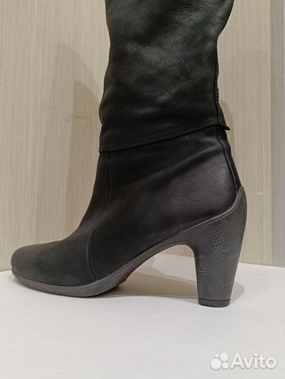 Сапоги ecco женские