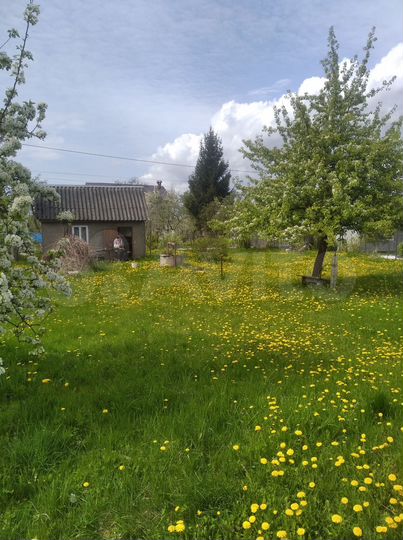 Участок 6,8 сот. (СНТ, ДНП)