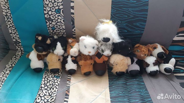 The dog collection и the cat collection