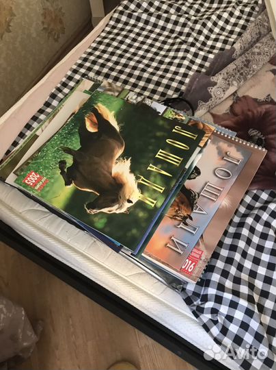 Про лошадей