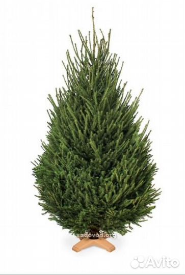 Елка новогодняя