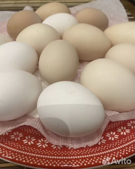 Яйцо куриное домашнее