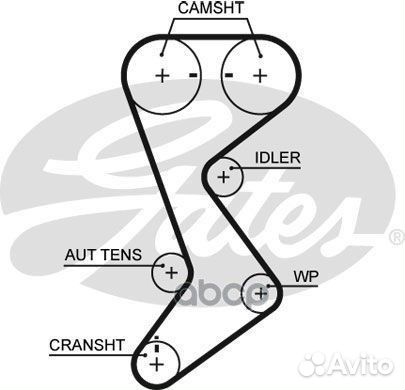 Ремень грм 146x280H Dodge Caravan/Stratus