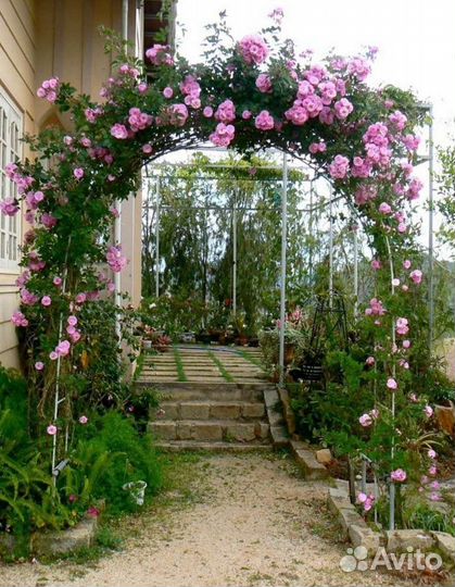 Арка садовая металлическая