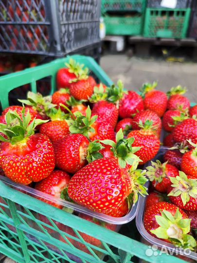 Продаётся действующее сельхоз предприятие