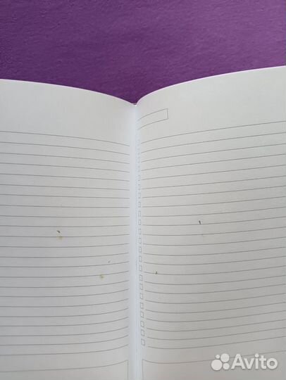 Записная книга Как пить, курить и располагать