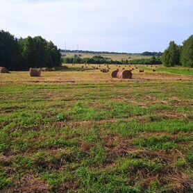 Сено в тюках