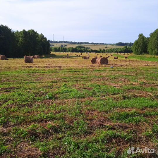 Сено в тюках
