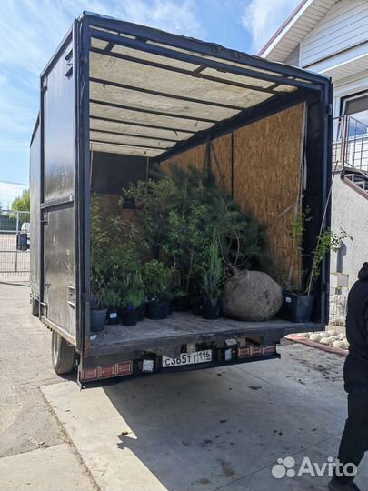 Грузоперевозки Газель Казань Город Межгород