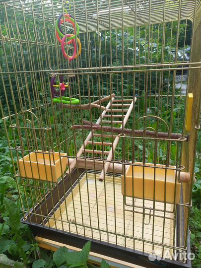 Клетка для крупного попугая