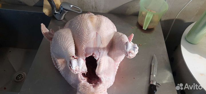 Мясо домашней птицы (Индейка)