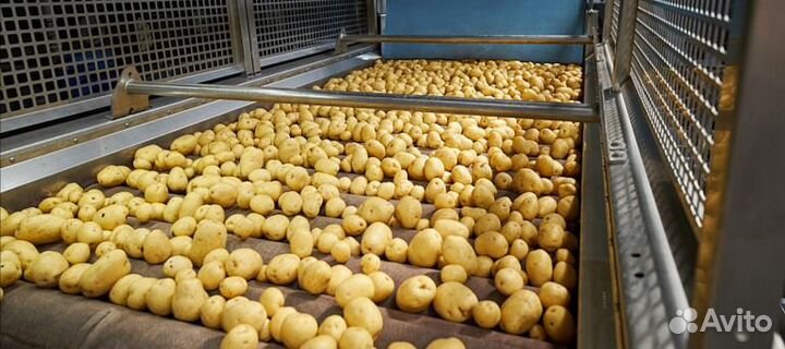 Разнорабочий (ая) овощехранилище в Тулу (вахта)