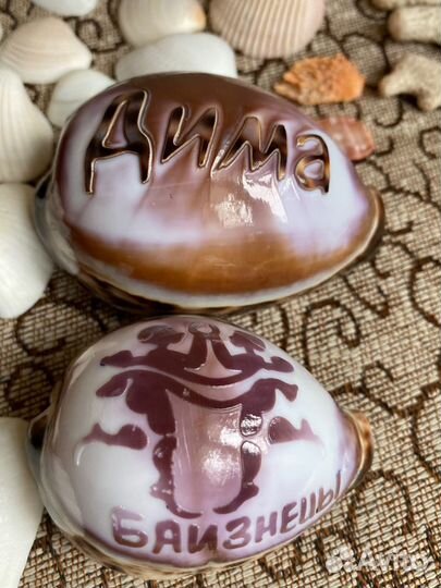 Ракушки и кораллы