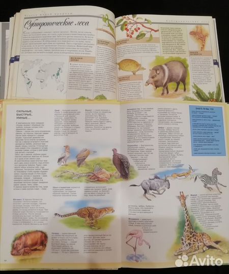 Детская энциклопедия