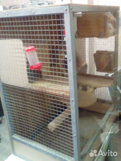 Клетка(витрина для шиншил
