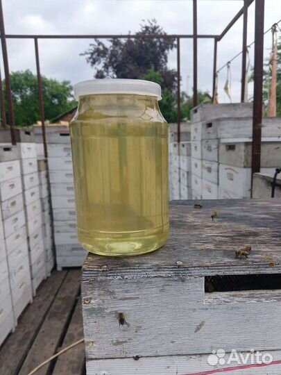 Мёд белая акация 2023