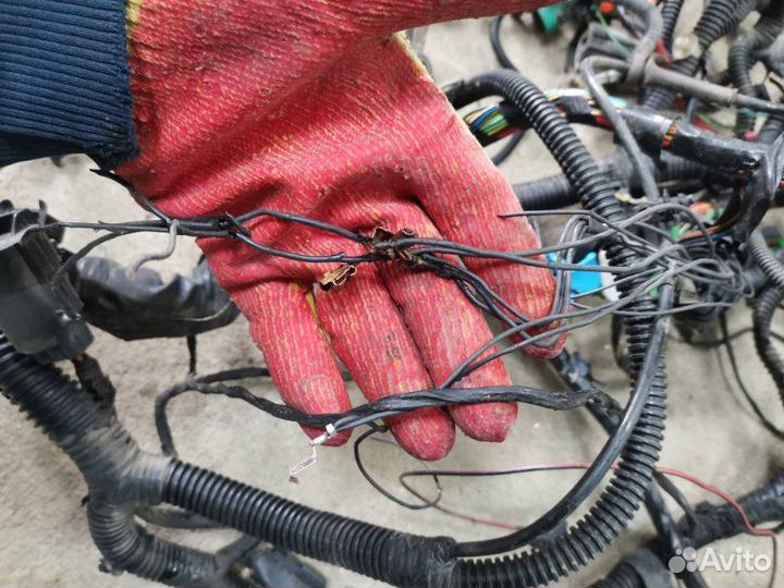 Проводка двс Ford Focus 2 Рестайлинг седан aoda