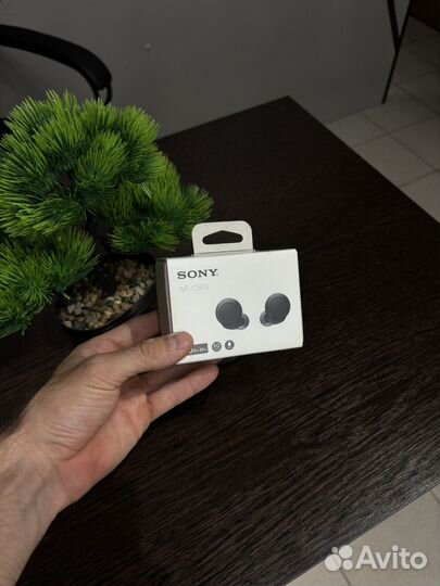 Беспроводные наушники Sony WF - C500