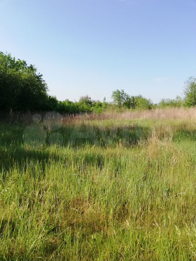 Участок 14,7 сот. (СНТ, ДНП)