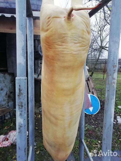 Забой скота
