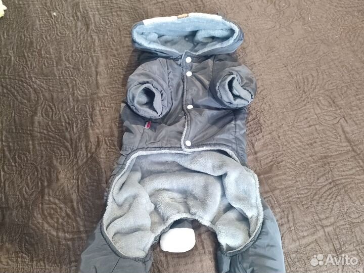 Комбинезон для собак (фр.бульдог)