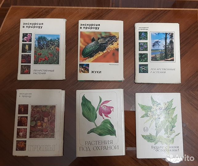 Открытки экскурсия в природу растения